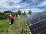 Exkursion zu einer Freiflächen-PV-Anlage