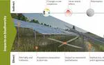 Neue wissenschaftliche Publikation aus BioPV: 'Navigating the Nexus between Renewable Energy and Biodiversity'